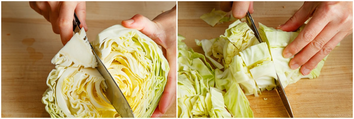 Yamitsuki Cabbage 2